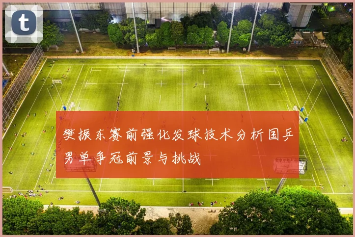 樊振东赛前强化发球技术分析国乒男单争冠前景与挑战